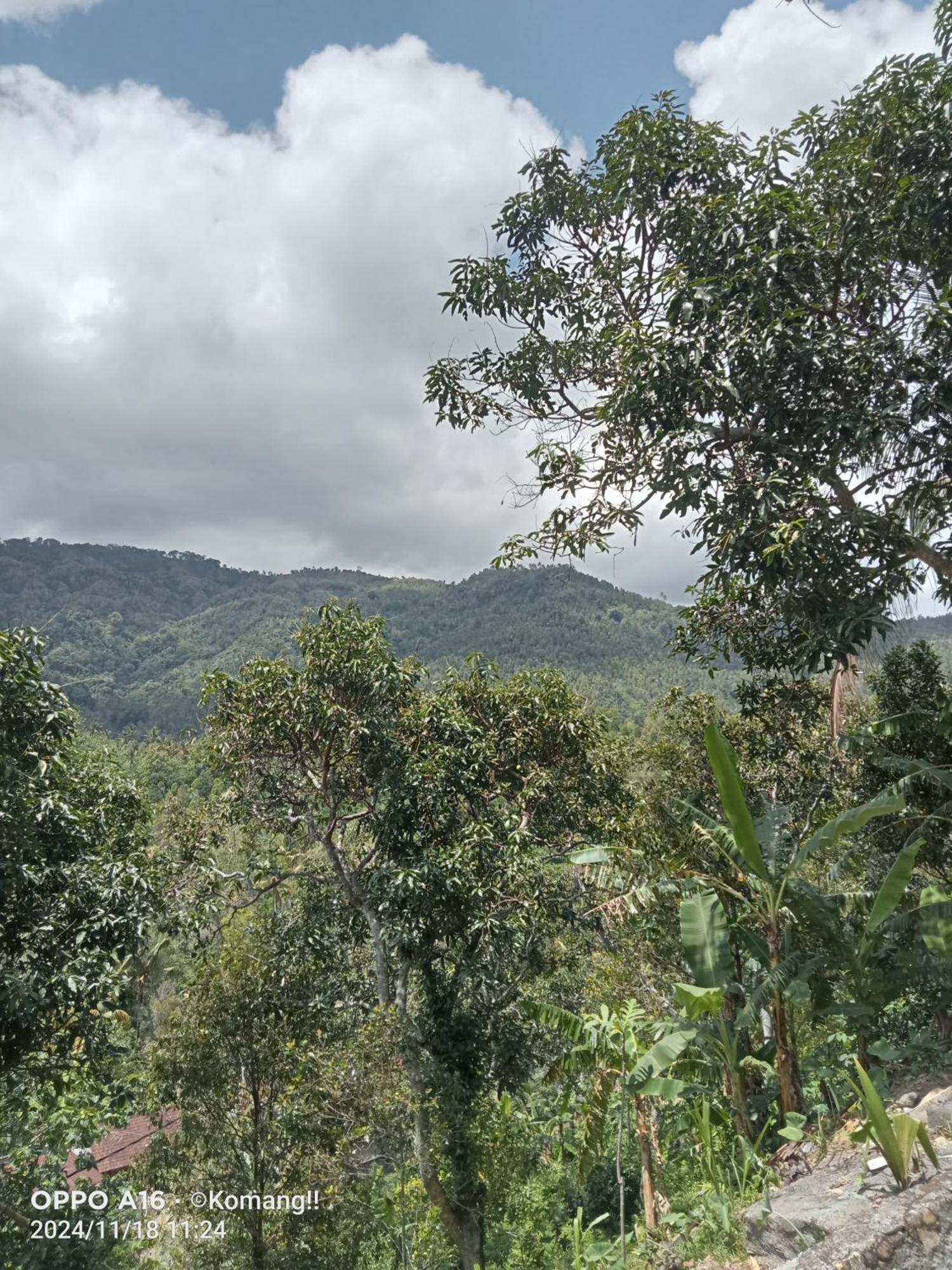 Ling & Louie'S Mountain Villa Mayong Ngoại thất bức ảnh